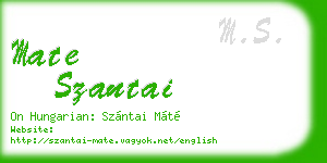 mate szantai business card